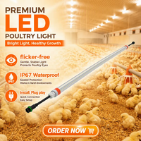 Lampe LED pour volailles, éclairage professionnel pour ferme, IP67, rouge/blanc commutable, SMD2835, Ra80, AC100-240V, garantie 5 ans