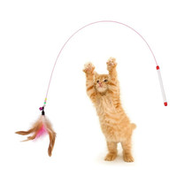 Jouet pour chat, baguette à plumes avec longue tige en fil d'acier, petite clochette, durable, résistant aux morsures, pour chats et chatons