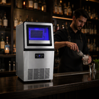 Machine à glaçons commerciale en cubes, capacité 20 kg, 110V/220V, compresseur automatique, pompe à eau, prix professionnel, haute productivité