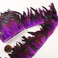 Plumes de Coq Schlappen Teintes en Gros, Franges de Plumes de Coq, Garniture de Plumes de Gallo pour Costumes, Vêtements, Carnaval, Décoration de Poulets