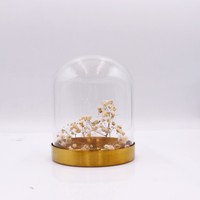 2023 nouveau design mode dôme en verre couverture cloche verre jardin dôme préservé dôme en verre base en or avec lumières led