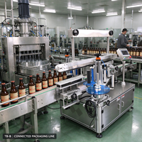 Machine d'étiquetage automatique double face TB-B pour bouteilles carrées, plates et rondes, ligne d'emballage alimentaire, de boissons et de cosmétiques