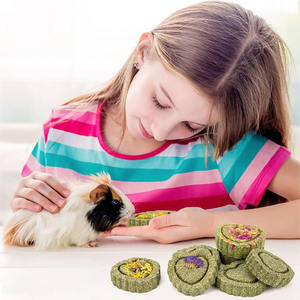 Venta al por mayor de China Timothy Hay Treats Rabbit Toys Bunny Toys <span class=keywords><strong>Guinea</strong></span> Pig Toys Masticables naturales - Product Image 5