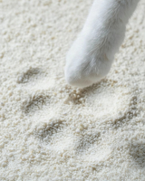 Arena para Gatos Biodegradable de Yuca, Fórmula Compostable, Producto Ecológico para Mascotas
