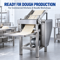 Machine à pâtes électrique professionnelle robuste en acier inoxydable, automatique, pour la préparation de nouilles et le roulage de pâte, idéale pour les restaurants et cuisines.
