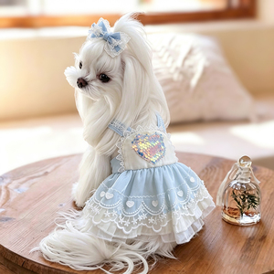 Ropa para Perros y Gatos de Algodón Suave Directo de Fábrica, Estilo Lolita, para <span class=keywords><strong>Chihuahua</strong></span>, Poodle, Accesorios para Fotos, Ropa para Salidas de Fin de Semana - Product Image 1