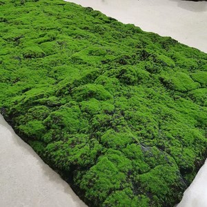 Mur en mousse artificielle en plastique multi-tailles, tapis vert décoratif, <span class=keywords><strong>mini</strong></span> <span class=keywords><strong>jardin</strong></span> paysager intérieur extérieur - Product Image 4