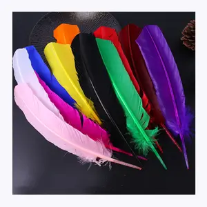 Hat Feathers 9 Pcs Assorted Natural Feather Packs Accessories for