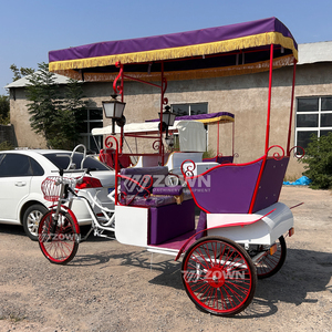 Venta de Fábrica: Carroza Rickshaw para Bodas y Paseos Turísticos Estilo Cenicienta con 1-2 Asientos - Product Image 2