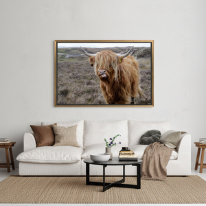 Highland Cattle <b>Canvas</b> Art: Farmhouse Print for Rustic Wall Decor,GOLD <b>FRAMED</b> <b>CANVAS</b> - Product Image 3