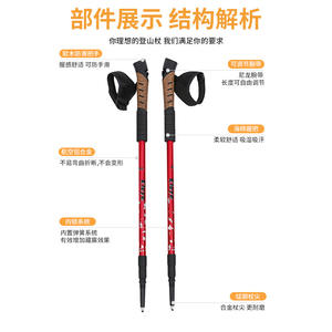 ไม้เท้าเดินป่า อลูมิเนียมอัลลอยด์ 3 ท่อน น้ำหนักเบา ปรับระดับได้ สำหรับเดินป่าและเดินเล่นกลางแจ้ง - Product Image 2