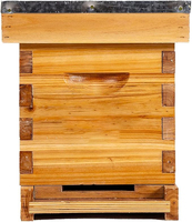 Boîte Nuc de ruche à alimentation automatique à 5 cadres revêtue de cire d'abeille 100% comprend des cadres de ruche et des fondations cirées