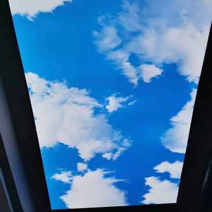 Vente chaude Nouveau Projet Cas Usine Fantastique Ciel Bleu Impression <span class=keywords><strong>Film</strong></span> de Plafond dans le Ciel Stretch <span class=keywords><strong>Film</strong></span> de Plafond - Product Image 3