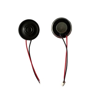 Nhà Máy Tùy Chỉnh Phổ Vòng 32Mm Mylar Loa - Product Image 1