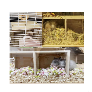 Maison et tunnel d'exploration pour hamster en bois détachable sur mesure à 2 compartiments - Product Image 5