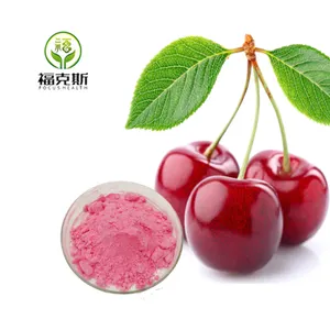 有机维生素c针叶樱桃提取物粉末17% 25% 天然针叶提取物