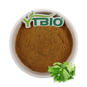 Hochwertiger Brennnessel-Blattextrakt Pulver Flüssig für Nahrungsergänzungsmittel Großhandel - Product Image 1