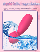 Vibrateur portatif OEM en silicone liquide, tête de dildo, masseur clitoridien, rechargeable, 20 fréquences