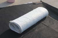 Chine Fabricant HDPE 3D Geonet Geocomposite Filet de drainage pour décharge route jardin Drainage