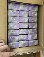 Collection de cartes Pokémon 151 Fat Surprise TCG, boîte cadeau Geng Gui