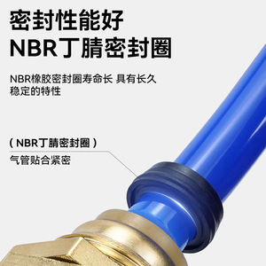 Connecteur rapide pneumatique Joko Widodo PM4 6 8 10 12, séparateur de tube d'air en plastique et cuivre bleu, filetage externe - Product Image 3