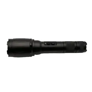 Hot bán 520nm công suất cao Laser Torch Sight màu xanh lá cây