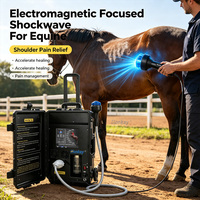 Sistema de Terapia de Ondas de Choque para Medicina Veterinaria Deportiva, Dispositivo Avanzado de Ondas de Choque Enfocadas para Rehabilitación de Caballos