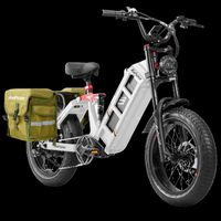 Vélo électrique Eahora Romeo Juliet 2 Cargo 1700w, vente directe d'usine, fabriqué en Chine, vélo électrique de rangement, vélo électrique de ville pour adultes
