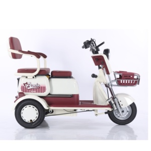 โรงงานขายส่งรถสามล้อไฟฟ้า 48V ไม่มีหลังคา สำหรับรับ-ส่งเด็ก - Product Image 5