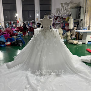 Xs258-1 Vestidos de Novia Modernos Hechos a Medida, Vestido de Gala con Apliques de Tul, Lentejuelas con Cuentas de Cristal, Vestidos Formales para Novia - Product Image 4