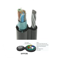 Câbles de communication extérieurs pour usine, câble de descente aérien Fig8 avec support en fil d'acier, câble de réseau à fibre optique FTTH GYTC8S 12 24 FO
