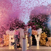 Machine à Feux d'Artifice à Fumée Révélatrice de Sexe à Démarrage Facile, TNT, pour Fête, Décoration, Accessoires de Révélation de Sexe de Bébé, Canons à Poudre de Confettis