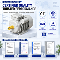 Moteur asynchrone à induction monophasé Bioté YC YL 3000 tr/min 1,5 kW 220 V 50 Hz AC, IP55/IP66, bobinage 100 % cuivre