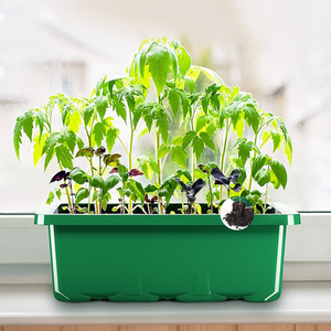 Plateau de germination en <span class=keywords><strong>plastique</strong></span> <span class=keywords><strong>pour</strong></span> légumes et <span class=keywords><strong>fleurs</strong></span> d'intérieur - Product Image 2