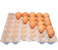 Boîte d'emballage en papier biodégradable avec insert moulé en pâte et boîte à chaussures à manchon extérieur en carton