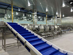 สายพานลำเลียงสำหรับการแปรรูปเนื้อแกะแพะหมูเนื้อวัว<span class=keywords><strong>ปลา</strong></span>อาหารทะเล - Product Image 5