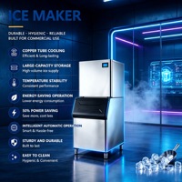 Machine à glaçons commerciale de comptoir en acier inoxydable, automatique et autonettoyante, pour les salons de thé à bulles, certifiée CE