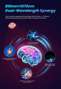 Helm Fotobiomodulasi Medis Stimulator Kranial untuk Pencegahan Cedera Kepala Epilepsi dan Parkinson di Rumah - Product Image 3