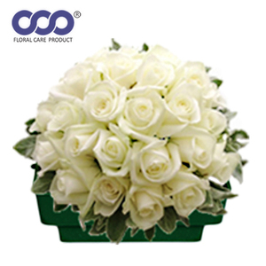 Soporte de flores de diseño Rectangular de espuma Floral, el mejor precio, para arreglo de flores, soporte Rectangular - Product Image 3