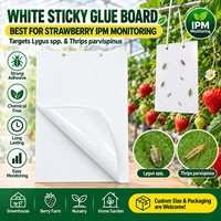 Pièges collants blancs 20x25cm pour Lygus, cartes de surveillance des insectes à adhésif double face ultra-résistant pour la lutte intégrale des parasites (LIP) des fraises en serre
