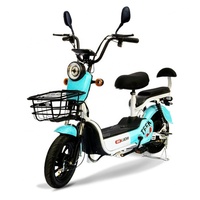 Bicicleta Eléctrica Urbana para Adultos de Alta Calidad, 48V 12Ah, Batería Portátil de Plomo-Ácido, Ebike 350W 500W
