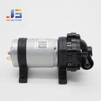 Mini pompe à diaphragme à moteur à courant continu 12V, haute pression 10 bars, 1 L/min, auto-amorçante, faible bruit, pour application de pesticides