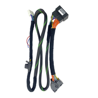 Harnais de câblage pour amplificateur de voiture DSP Plug-and-play TK-DSP-BM01, compatible avec BMW