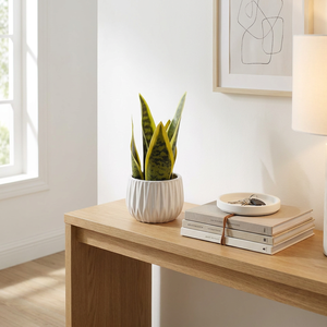 Planta Artificial de Orquídea Tigre, Bonsái Verde Amarillo, <span class=keywords><strong>Sansevieria</strong></span> de 36 cm, Maceta de Plástico Ecológica, Decoración para Interiores, Hogar, Bodas, Navidad - Product Image 1