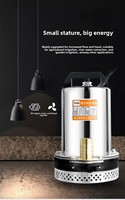 Pompa Air Kendaraan Listrik Bertenaga Baterai 12V/24V/48V/60V 0.5 HP 1/2 Inch Pompa Booster Self-Priming OEM
