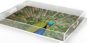 <span class=keywords><strong>2025</strong></span> mỹ phẩm phụ kiện hiển thị khay tùy chỉnh in hoa bên trong <span class=keywords><strong>Acrylic</strong></span> lucite phục vụ khay với xử lý - Product Image 2