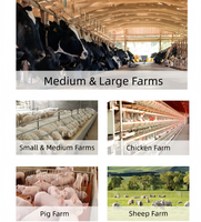 Youwell Nouvelle machine à granulés d'aliments pour animaux en acier au carbone robuste, haute efficacité 550-1000 kg/h, taille de granulés personnalisable