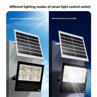 Projecteur Solaire 1000W Extérieur Étanche IP69 avec Capteur, en Verre, pour Jardin, Maison, Cour et Aménagement Paysager