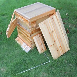 Chinese Wax-Coated Cedar Wood Automatic Self-Flowing Honey Bee Hive & 7 Auto Frames Apiculture Beekeeping Equipment Tool Beehive