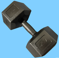 Vente chaude En Plastique Trempage 2kg Hex Petit Haltère Noir Ciment Haltère Ensemble Enduit pour Gym Femmes Dame Haltérophilie